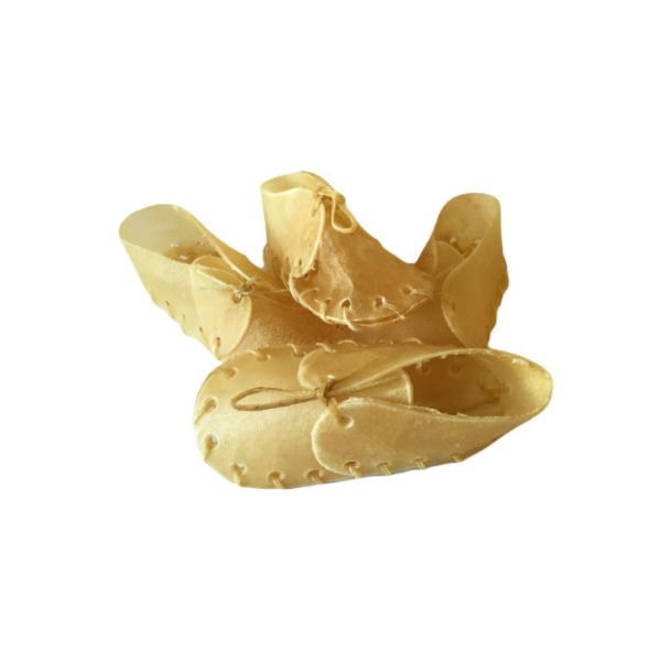 Shoe 5