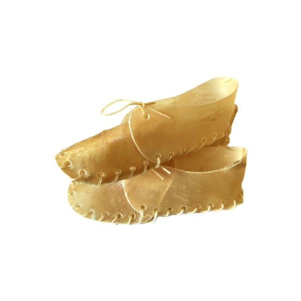 Shoe 8