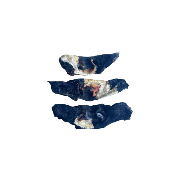 Cow Nose with fur