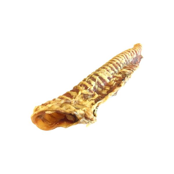 Beef Trachea