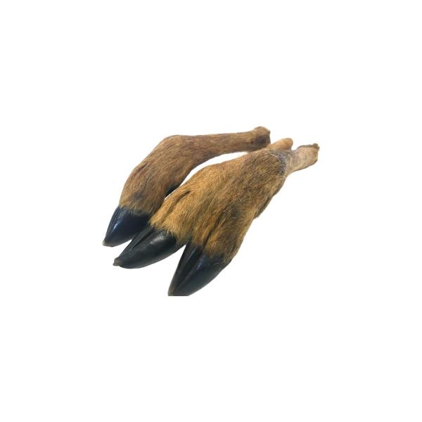 Venison Legs Small with Fur