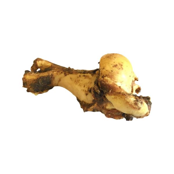 Beef Bone Whole