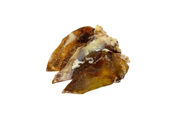 Beef Bone Moon