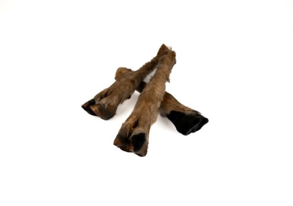 Lamb Legs with Hair