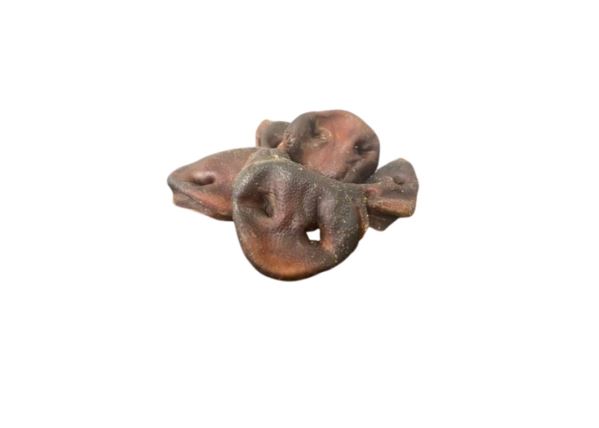 Pigs Snouts