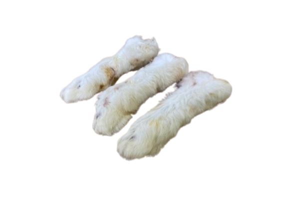 Rabbit Feet with Fur