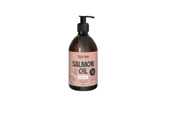 Salmon Oil