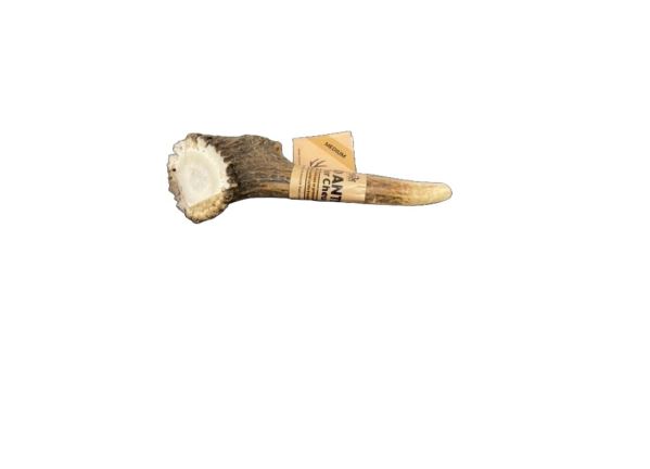 Highland Antler - Medium