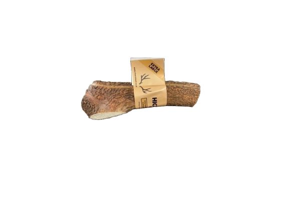 Highland Antler - Extra Large
