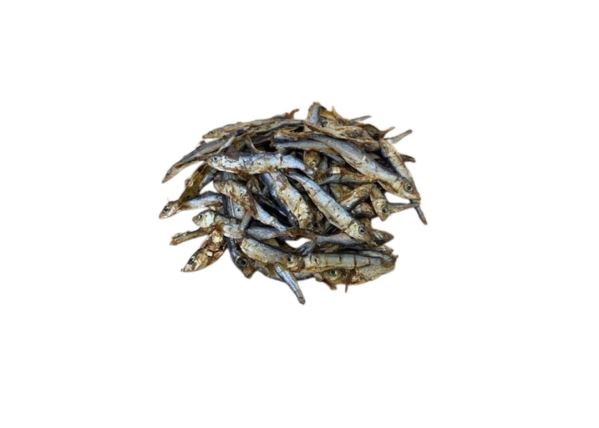 Fish Sprats Baltic