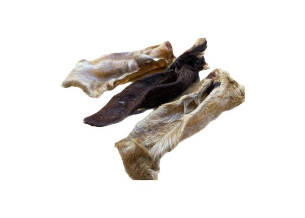 Lamb Ears with Hair