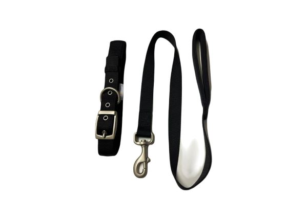 Dog Collar & Lead