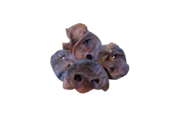 Pork Snout Pieces